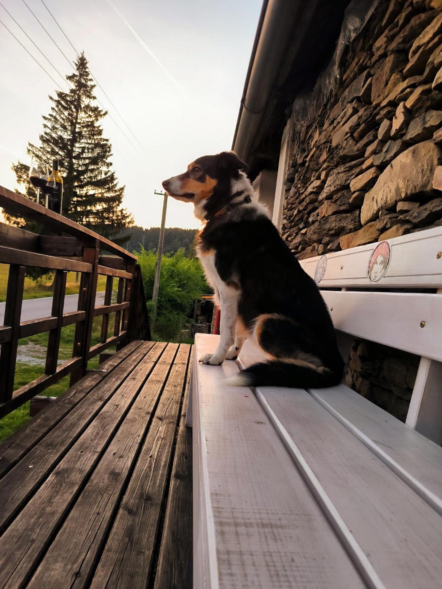 Pokojiky Na Vetrne Malsin Exterior foto